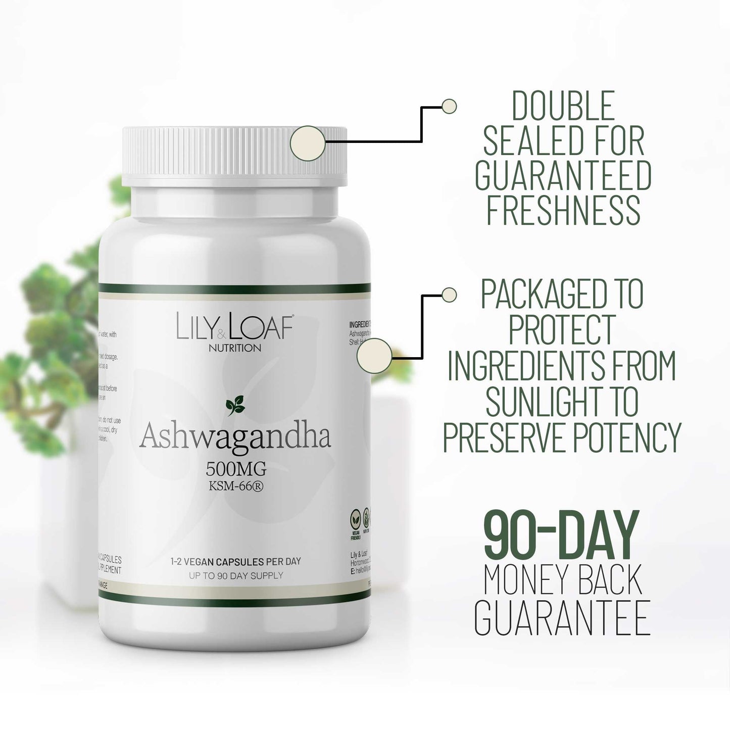 Ashwagandha