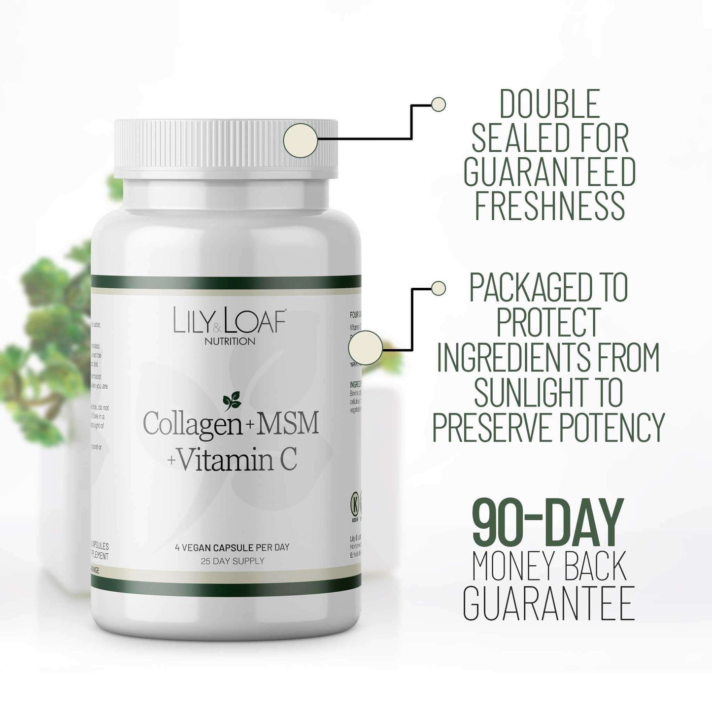 Collagen + MSM + Vit C