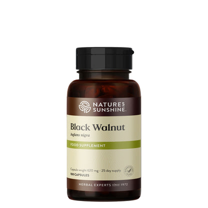 Black Walnut