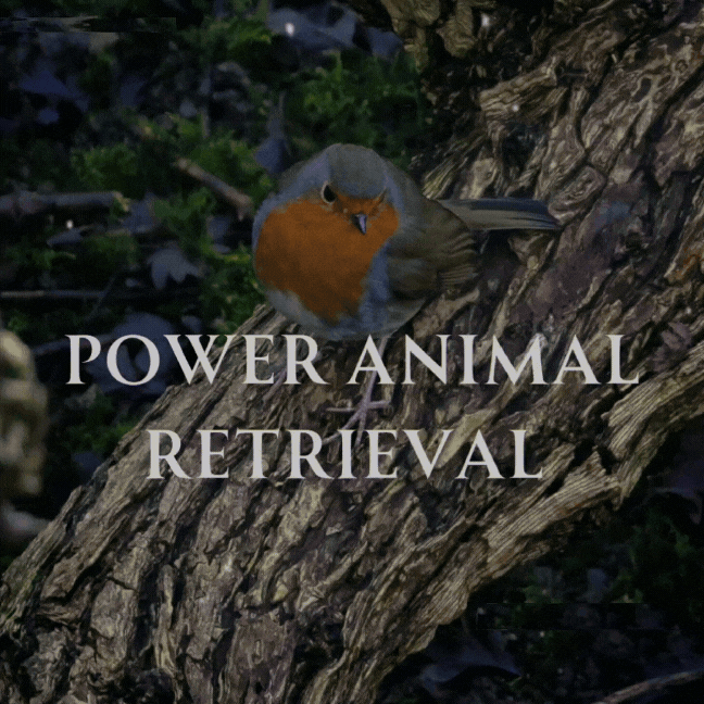Shamanic Power Animal Retrieval