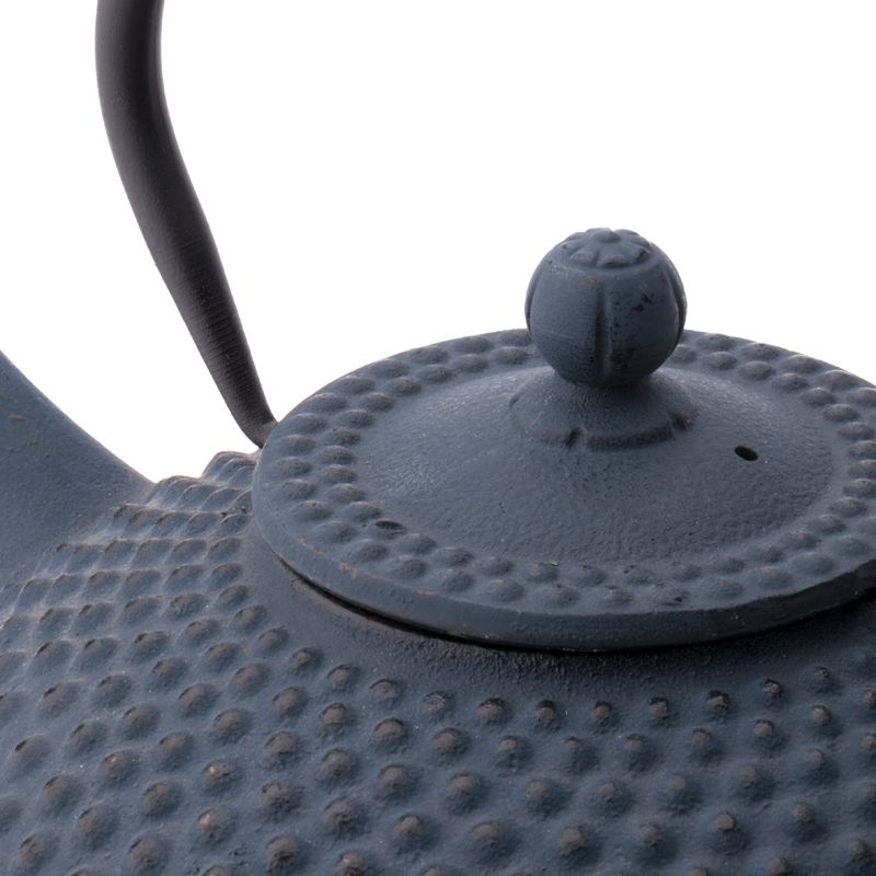 Xilin Cast Iron Teapot