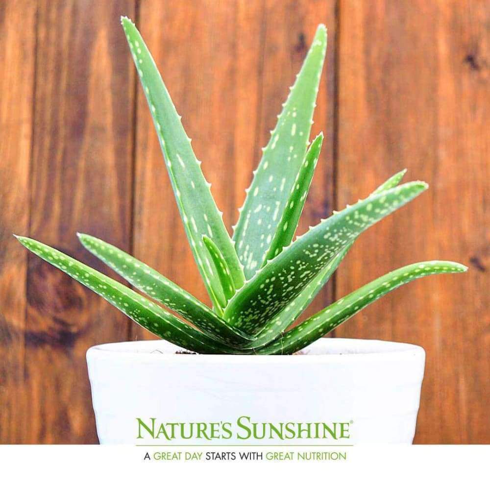 Aloe Vera Juice