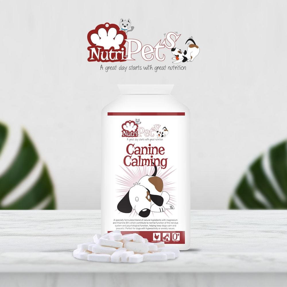 Canine Calming