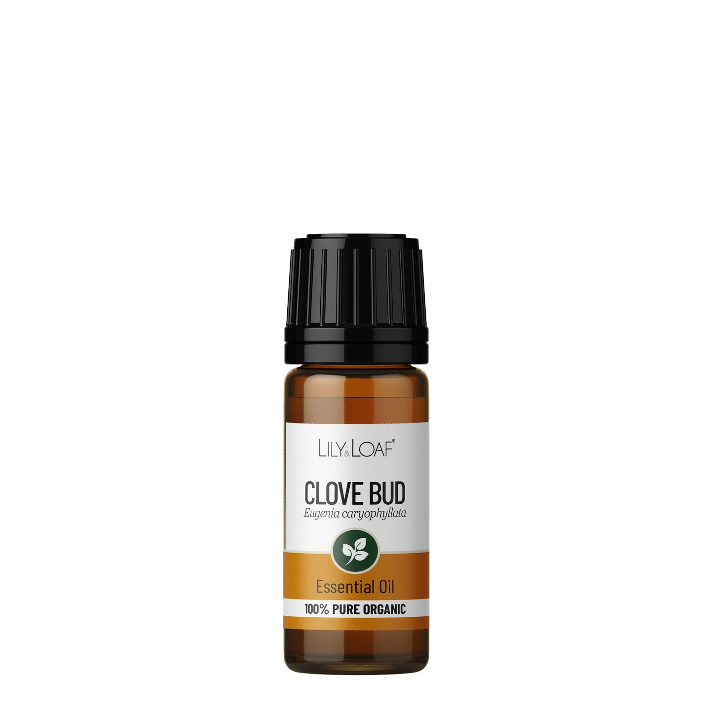 Clove Bud Organic Essential Oil