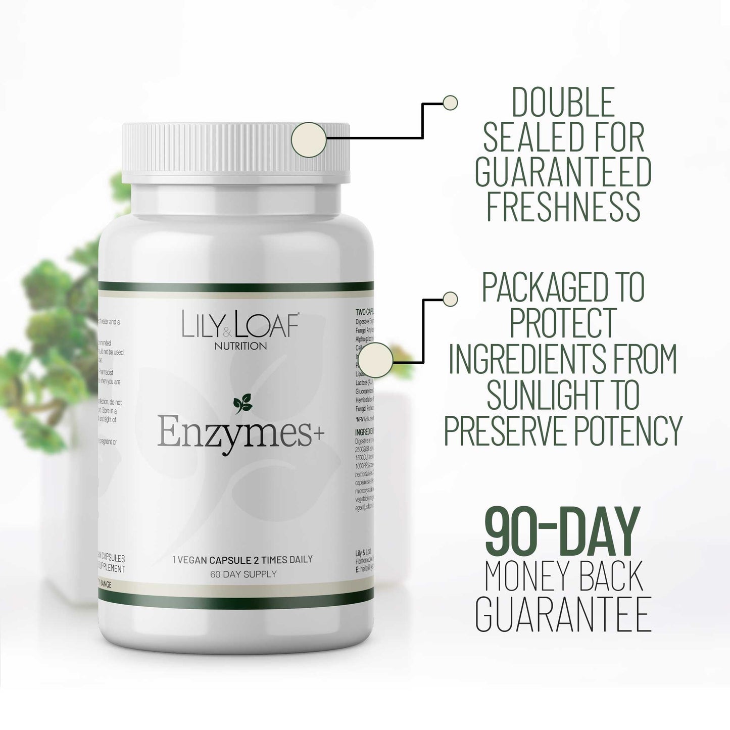 Enzymes +
