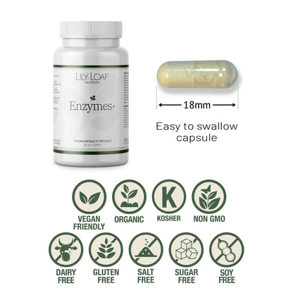 Enzymes +