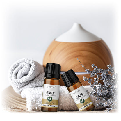 Ginger Organic Essential Oil