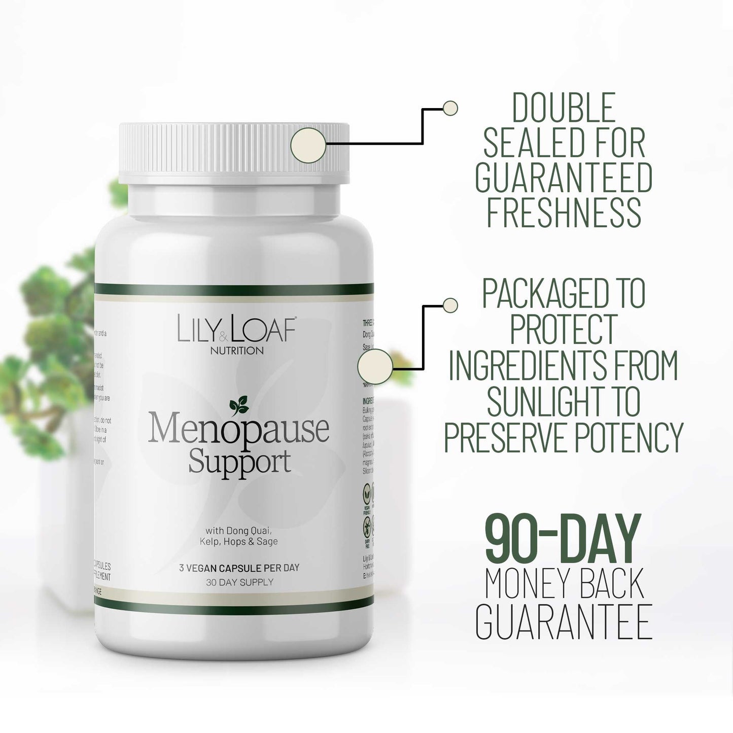 Menopause Support