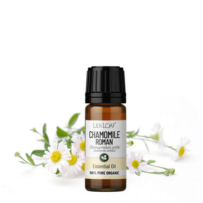 Chamomile (Roman) Organic Essential Oil