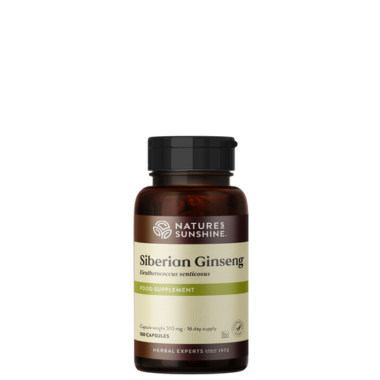 Siberian Ginseng