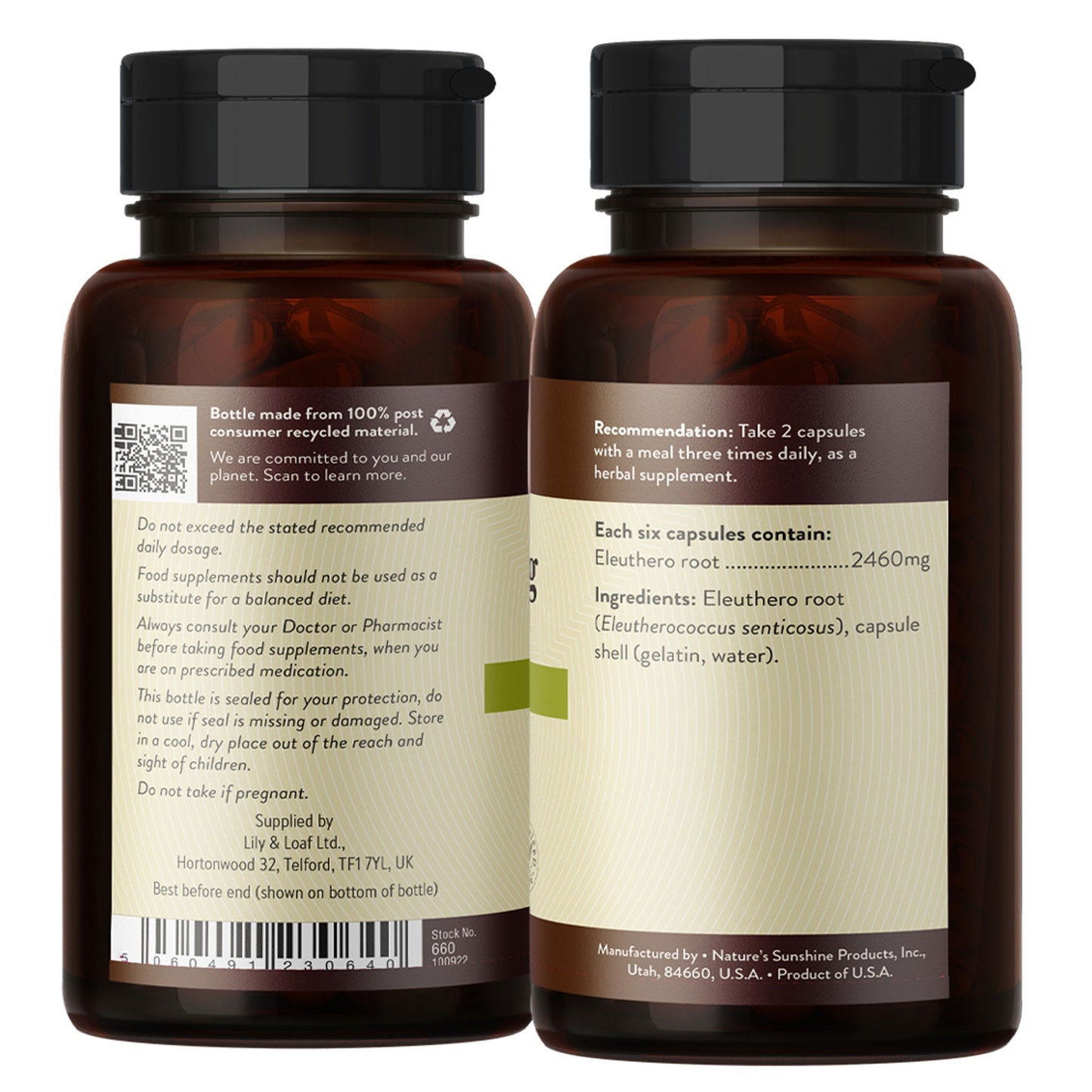 Siberian Ginseng